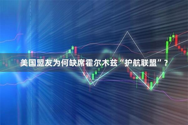 美国盟友为何缺席霍尔木兹“护航联盟”？