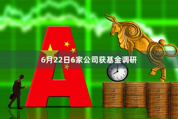 6月22日6家公司获基金调研